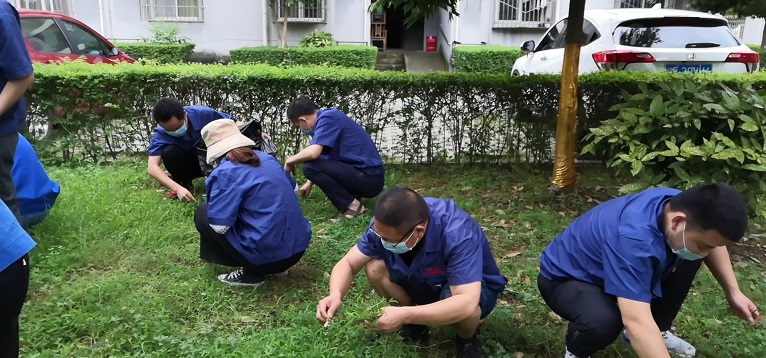 [我為群眾辦實(shí)事]仟坤集團(tuán)黨委開展“學(xué)黨史 見行動 黨員進(jìn)小區(qū)清潔家園”主題黨日活動